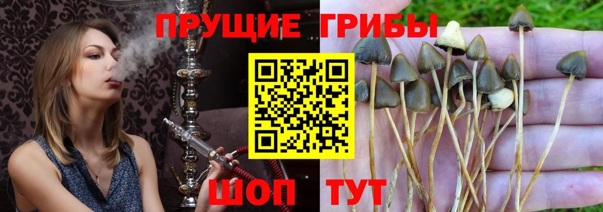 Псилоцибиновые грибы прущие грибы  Галлюциногенные грибы мицелий  Вход с VPN  Ногинск 