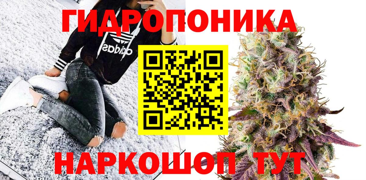 Шишки марихуана семена  Канабис марихуана  Вход с VPN  Ногинск  Шишки марихуана индика  Бошки Шишки OG Kush 